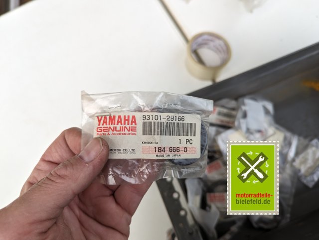 PXL_20240528_175720218